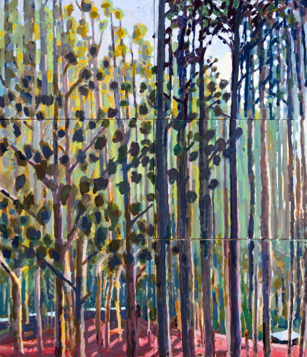 Jane Martin, Donnelly River Trees. Work from the Donnelly Verandah Residencies 2016