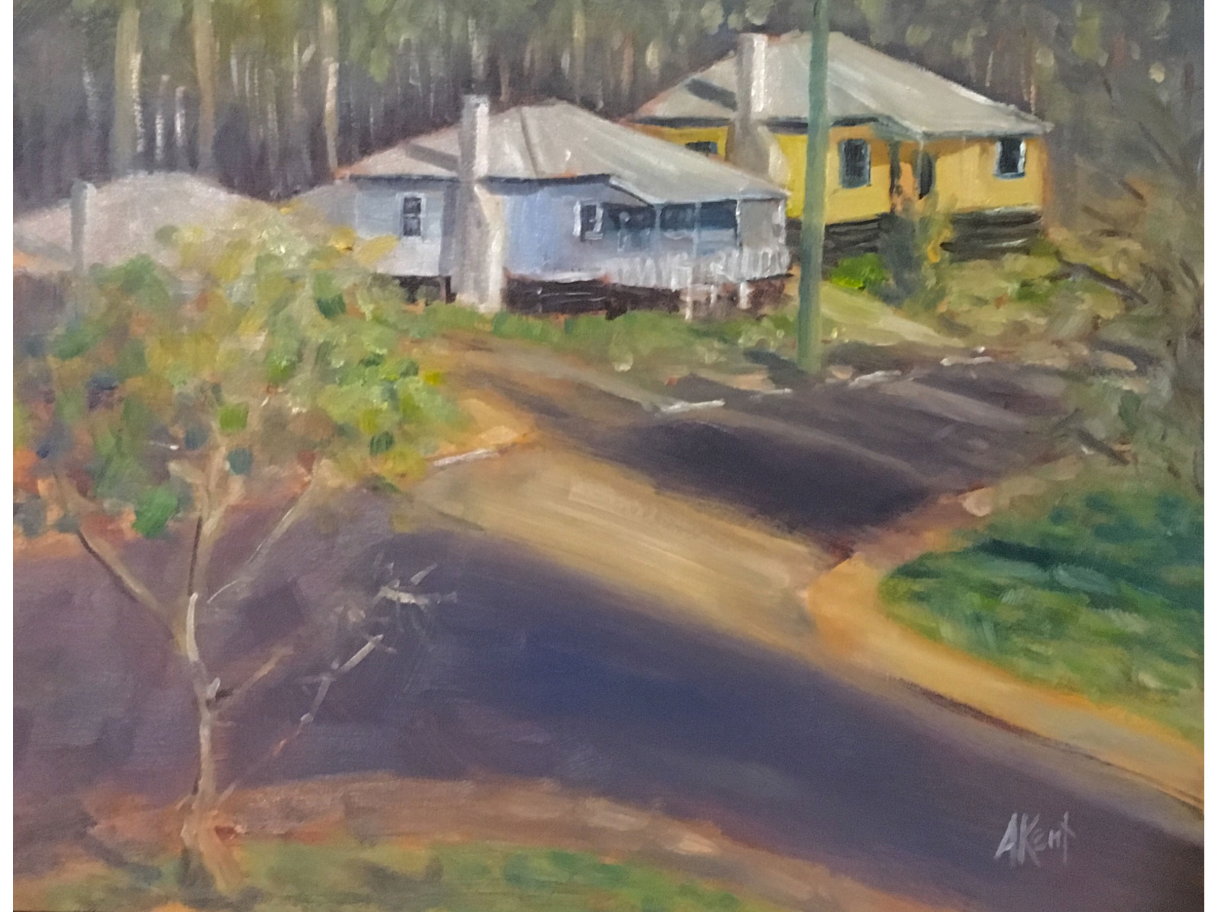 Andy Kent, Donnelly River 8