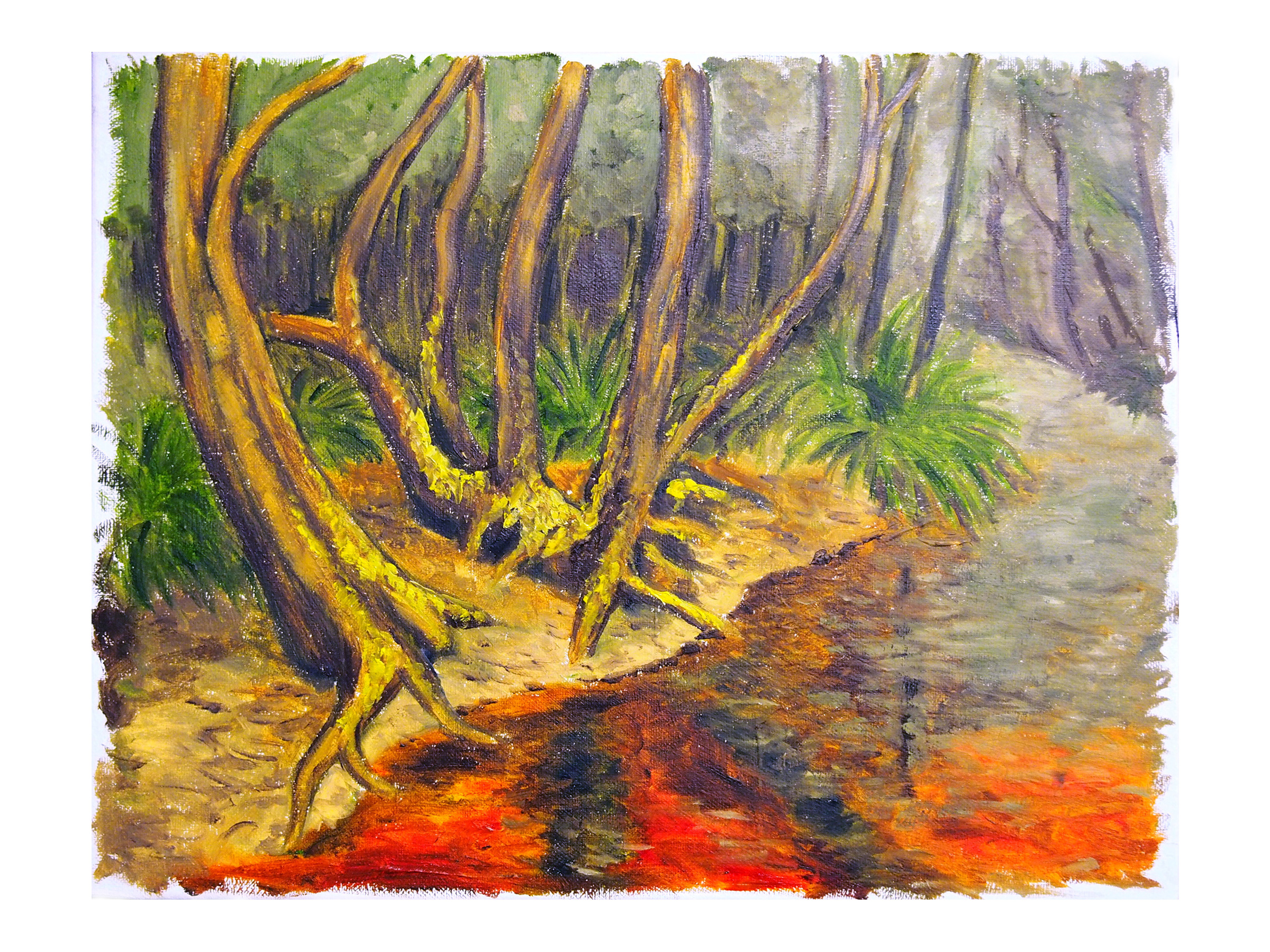 Robyn Varpins, Donnelly River, Study 3