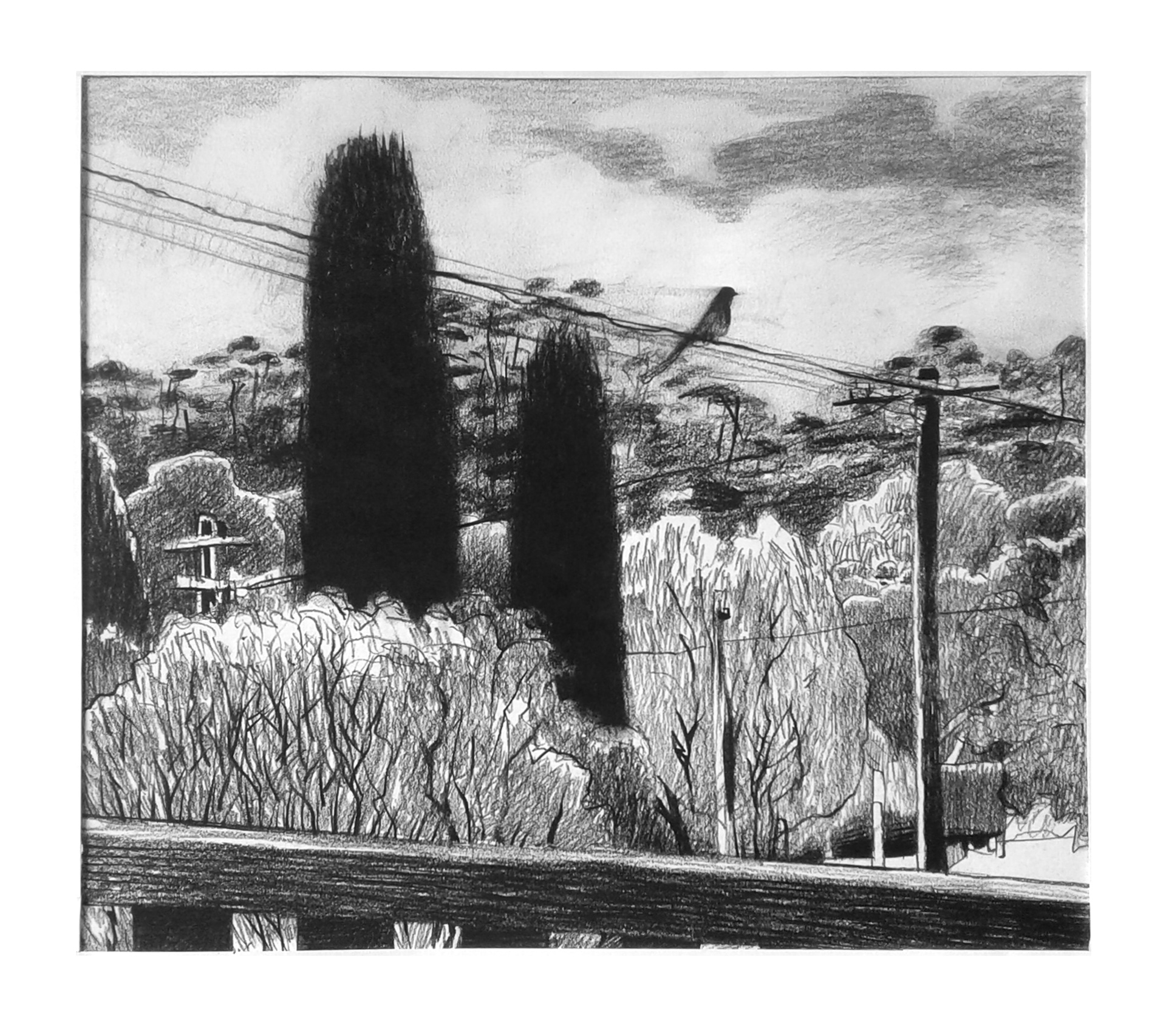 21. Ben Crappsley, View from the verandah at #5, conte pencil on paper, $470