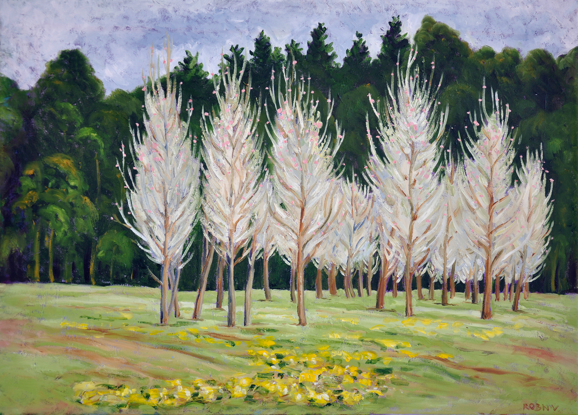 44. Robyn Varpins, The First Hint of Spring, oil on canvas $600